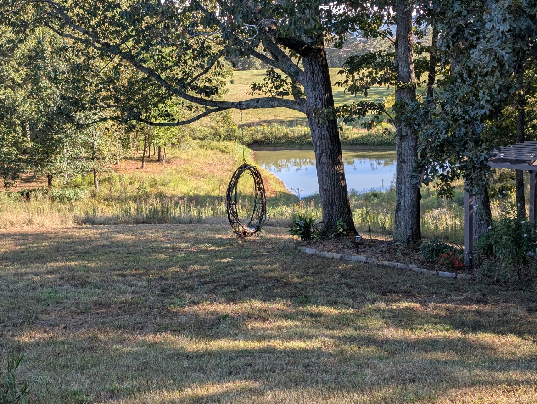 The Meadow